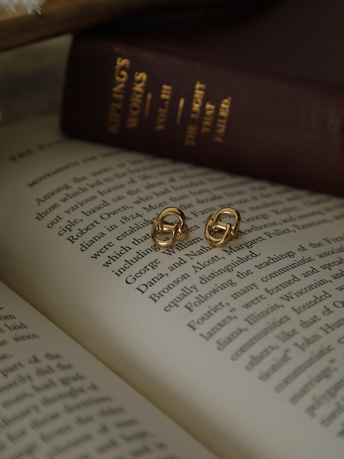 Christian Dior CDロゴイヤリング