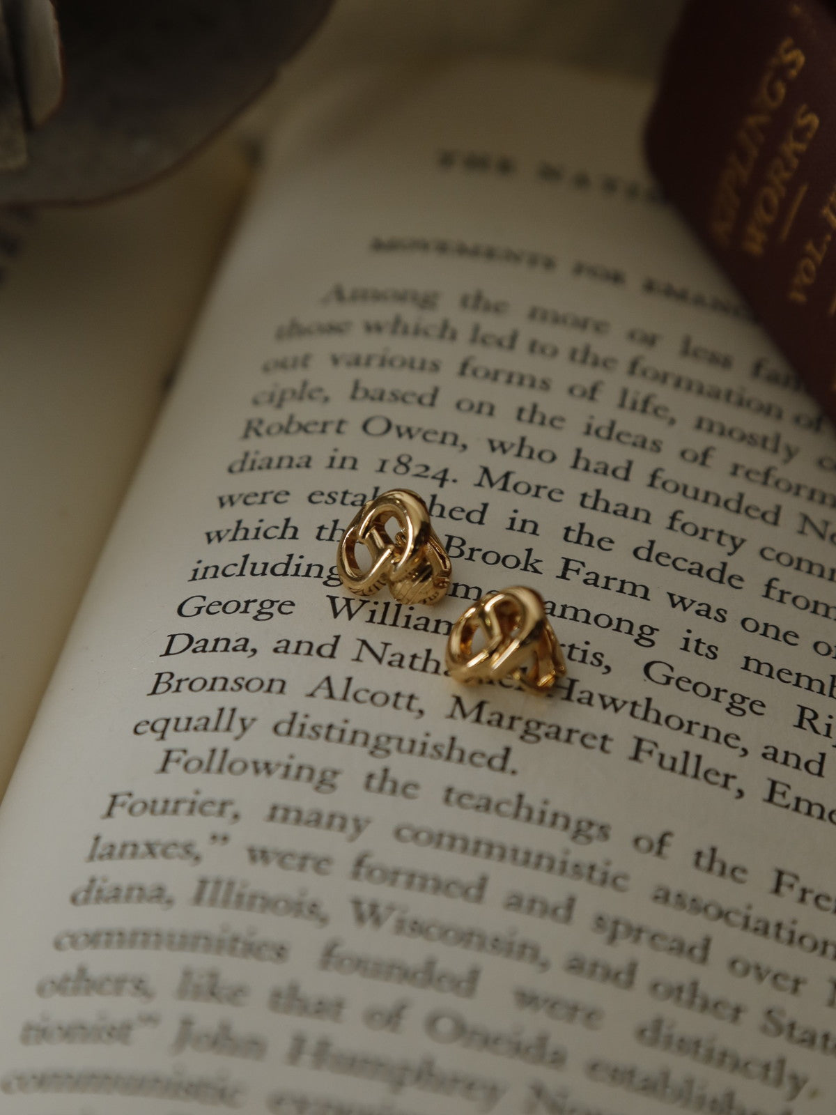 Christian Dior CDロゴイヤリング