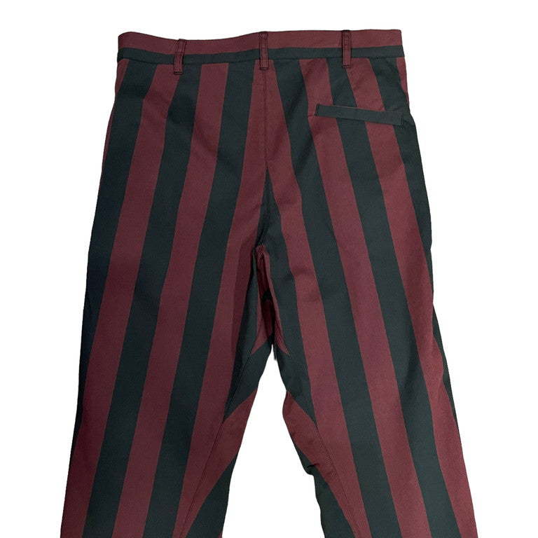 Vivienne Westwood MAN 22AW Anatomical striped pants