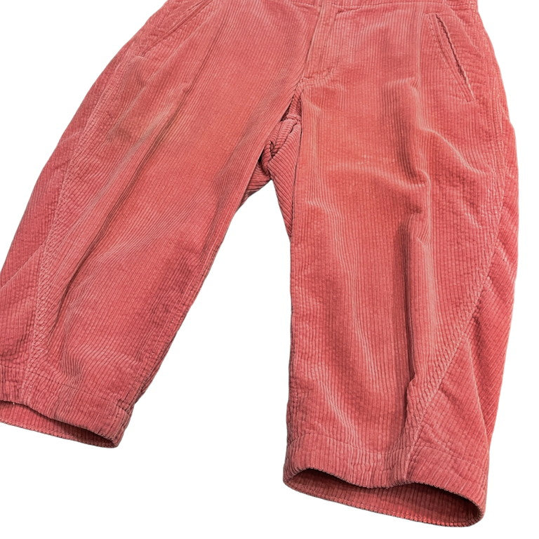 COMME des GARCONS HOMME PLUS 13AW Corduroy sarouel shorts