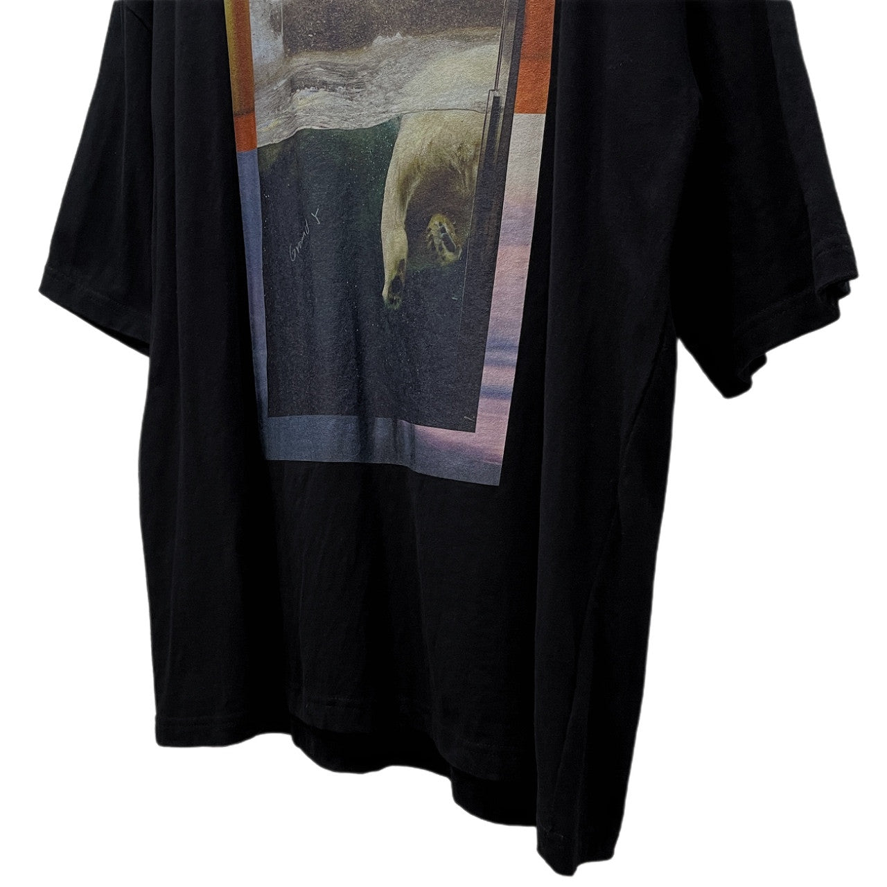 Ground Y フォトプリントクルーネックTシャツ カットソー Tee T-shirt 半袖 トップス Yohji Yamamoto グラウンドワイ ヨウジヤマモト メンズ レディース ユニセックス